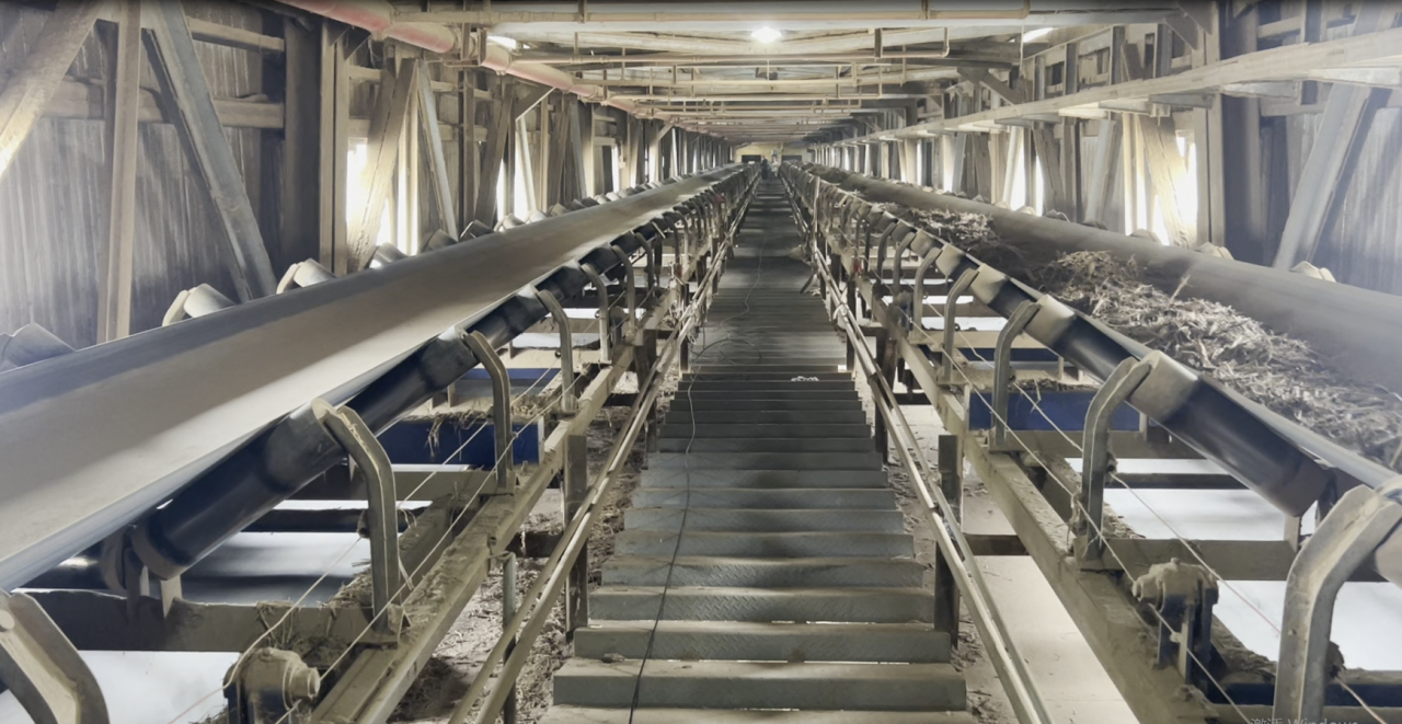 Разработанная WTAU система обнаружения разрывов ремня на базе искусственного интеллекта помогает стабилизировать транспортировку материалов на электростанциях, работающих на биомассе, и получила признание в отрасли.