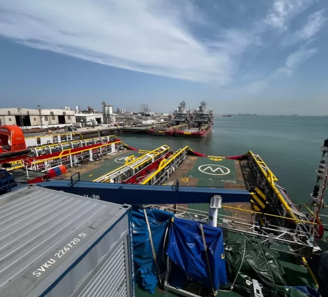 Палубный кран LMI компании WTAU прибыл на Ближний Восток, обеспечив надежную защиту для крупнейшего судовладельца Саудовской Аравии.