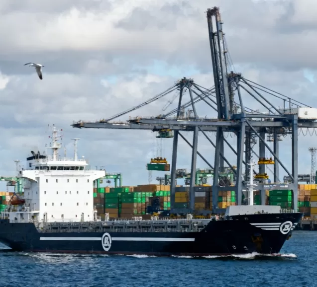 Судоходная компания Монако Andromeda заказала у WTAU датчик веса стопора цепи весом 550 тонн.