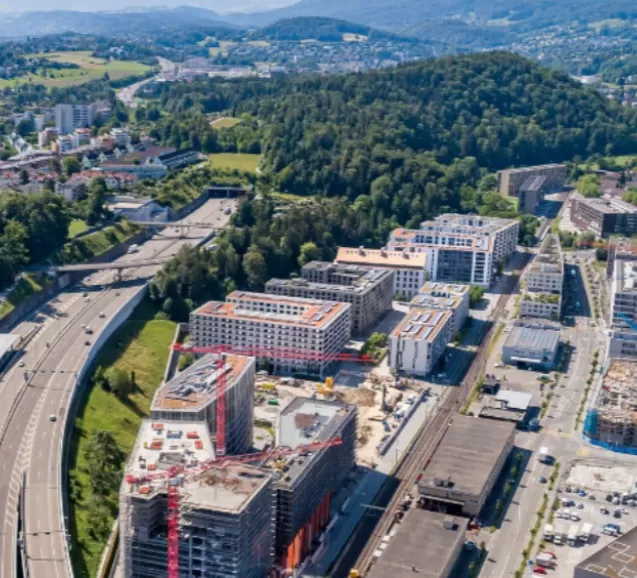 Укрепление позиций на рынке Юго-Восточной Азии! Компания Weite Technology получила крупный заказ на индикаторы грузоподъемности от тайской компании.